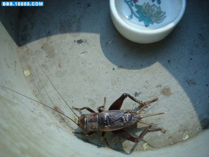 调整向导-2.jpg