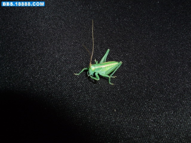 DSCF6071.jpg