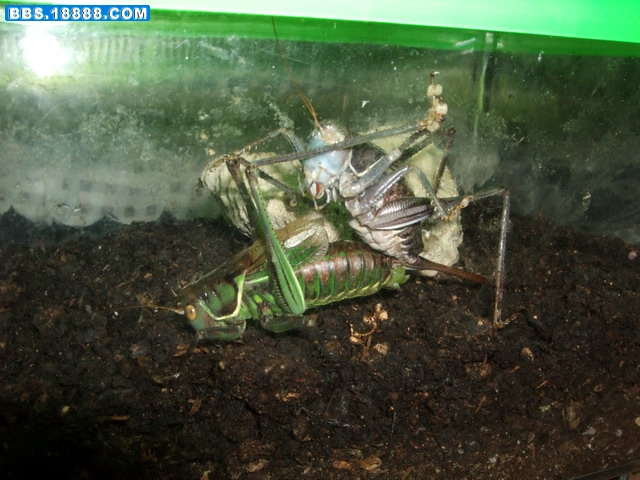 DSCF4873.jpg