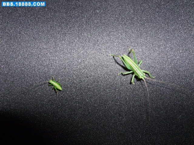 DSCF6070.jpg