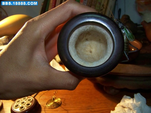 100_8579.JPG