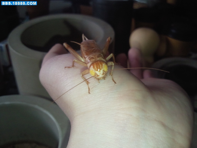 照片071.jpg