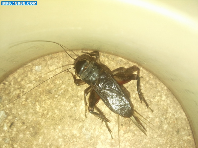 照片114.jpg