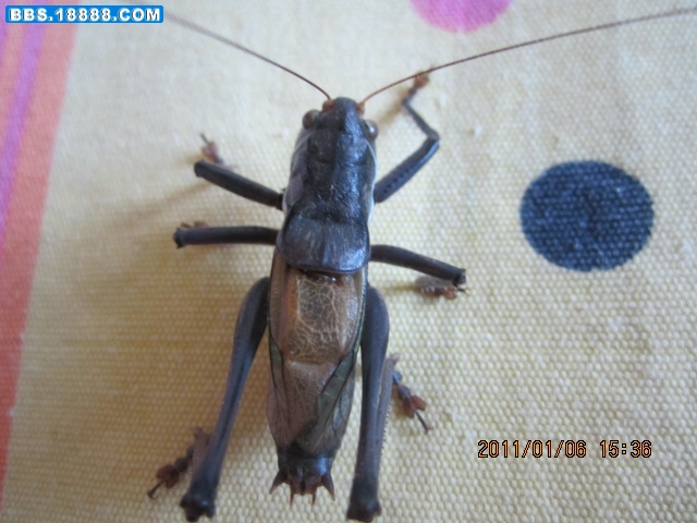 照片 019.jpg