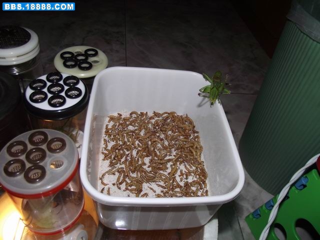 调整大小 DSCF9081.JPG