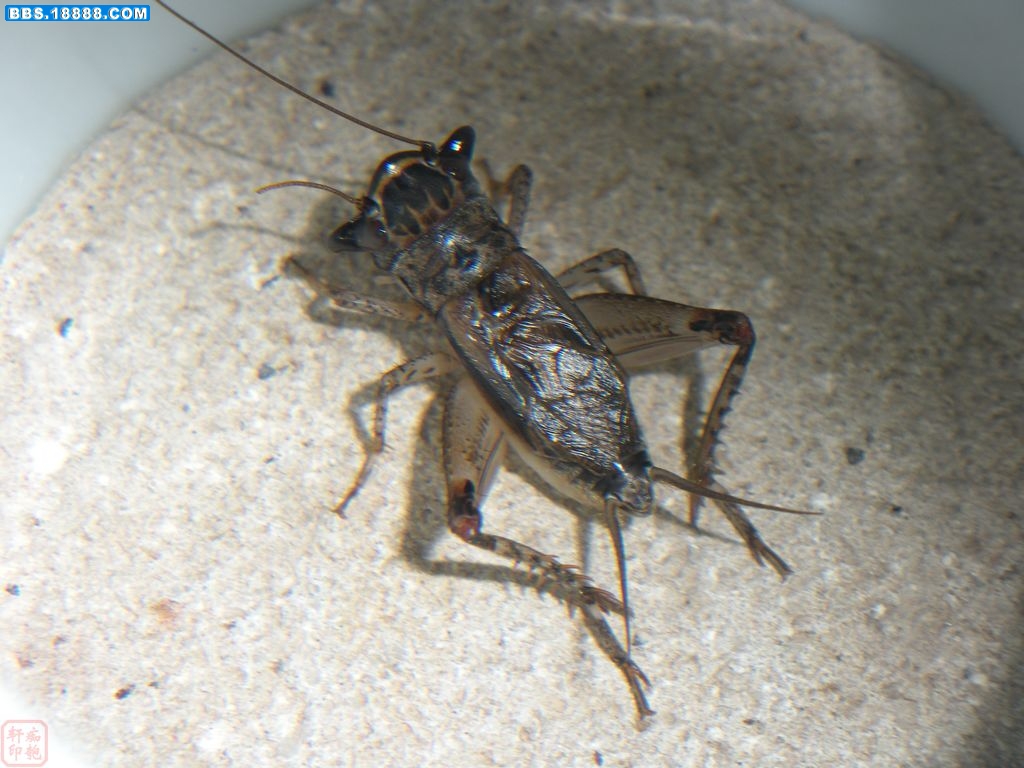 DSCN3874.jpg