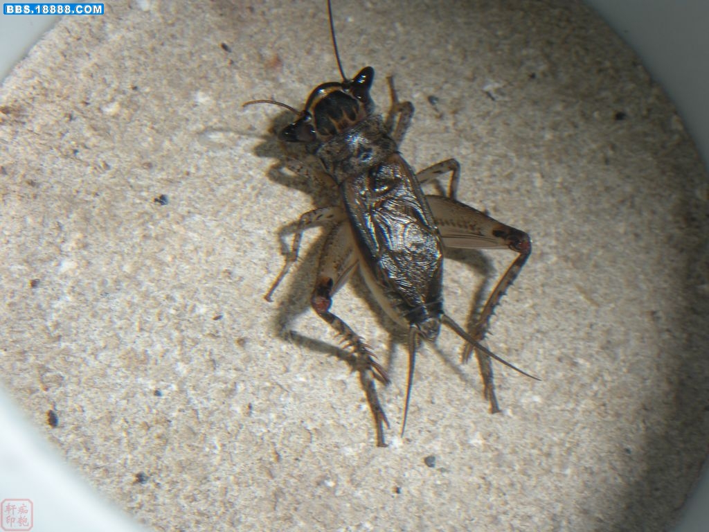 DSCN3870.jpg