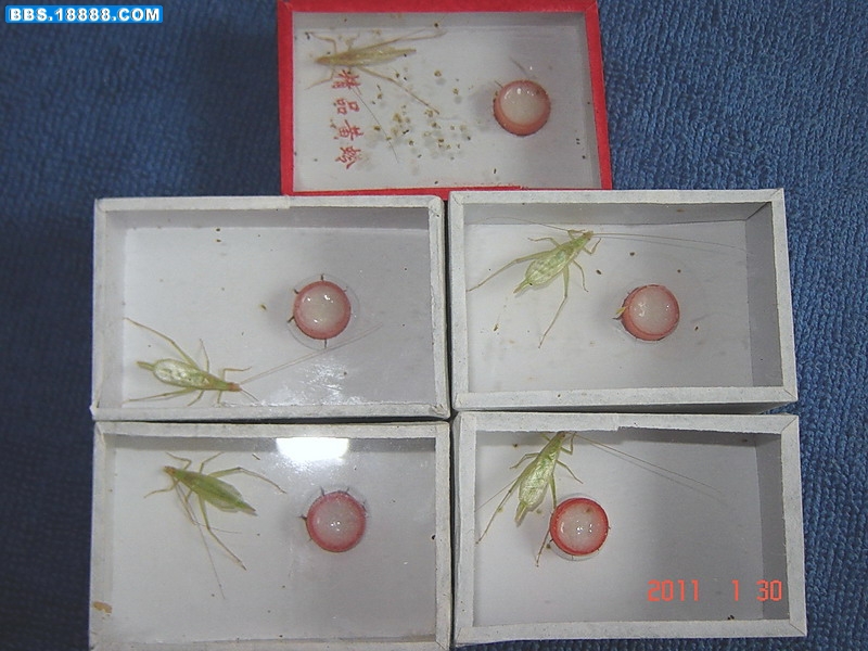 竹蛉合照.jpg
