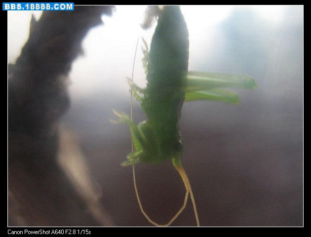 nEO_IMG_照片 028.jpg