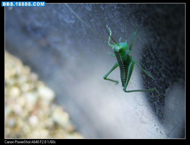 nEO_IMG_照片 006.jpg