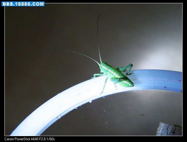 nEO_IMG_照片 002.jpg