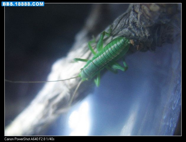 nEO_IMG_照片 024.jpg