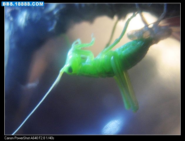 nEO_IMG_照片 034.jpg
