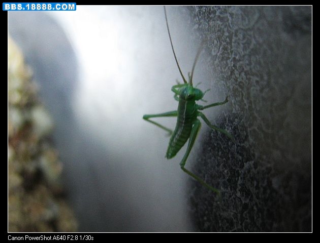 nEO_IMG_照片 004.jpg