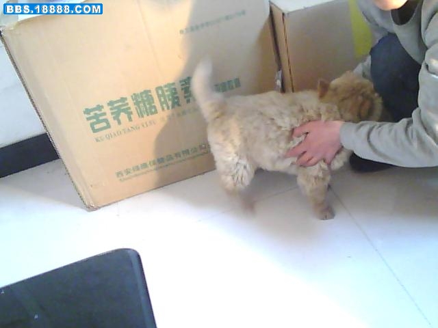 图片 012.jpg