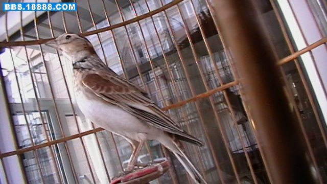 IMGA0493.JPG