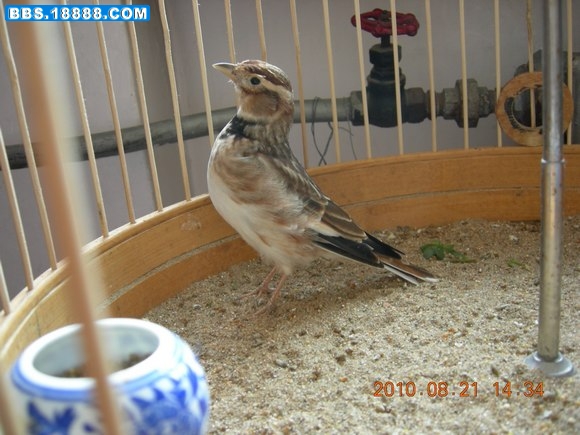DSCN4405+.jpg