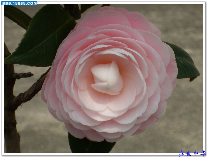 nEO_IMG_SL380005.jpg