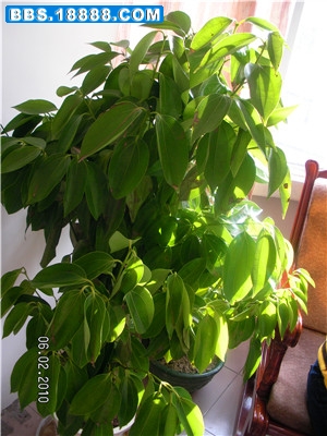 SANY0144_副本.jpg