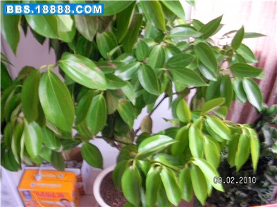 SANY0147_副本.jpg