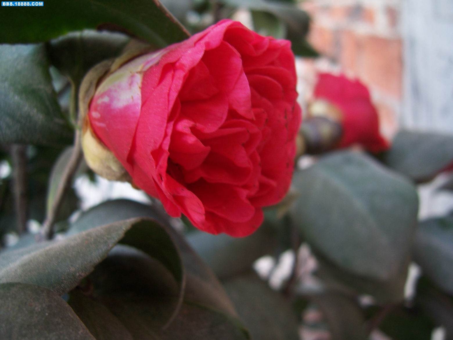 100_5951.JPG