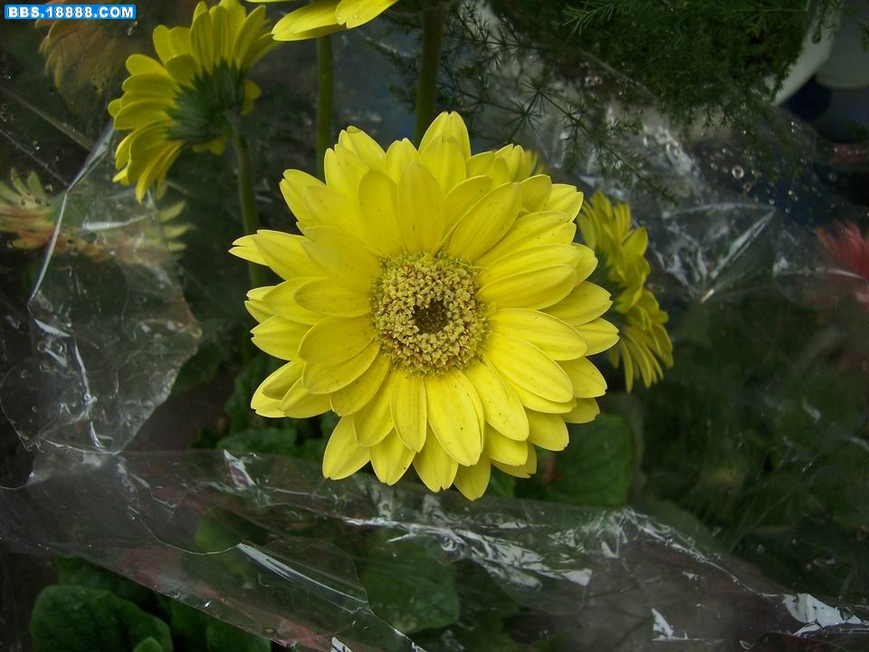 100_5982.JPG