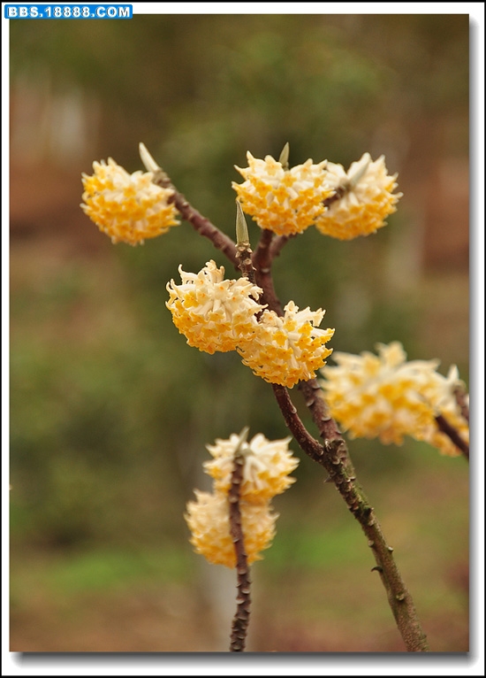 2011.2.28 035.jpg