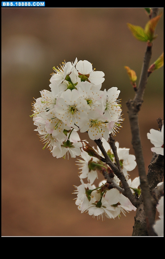 2011.2.2800 025.jpg
