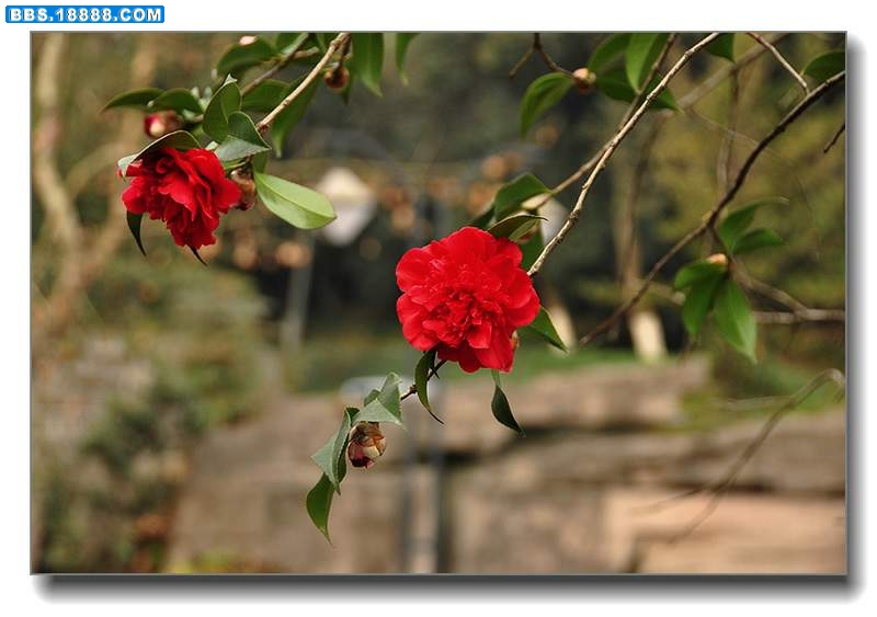 2011.2.13 005.jpg