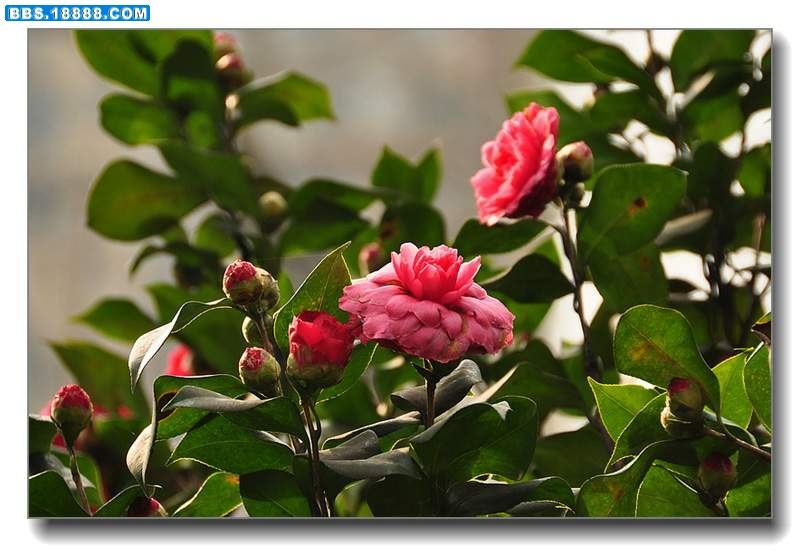 2011.2.13 006.jpg