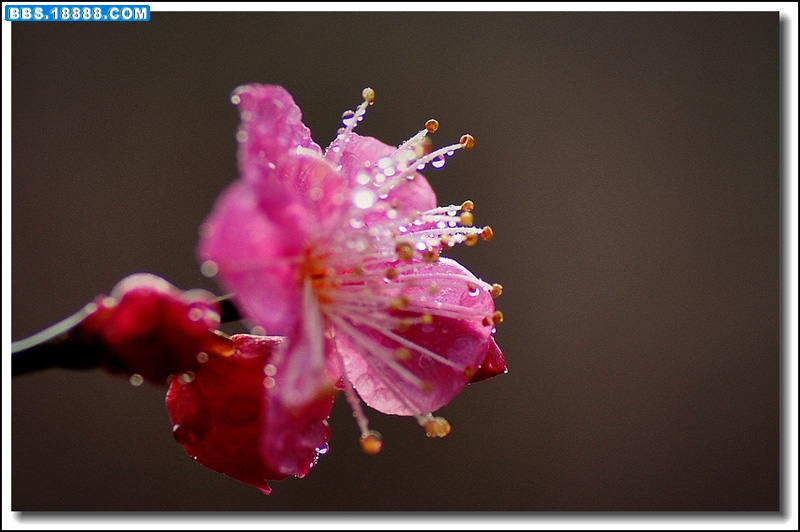 2011.2.17 035.jpg