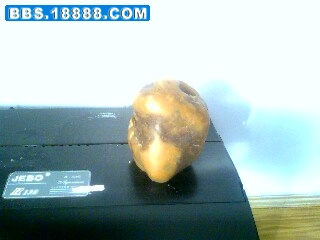 IMG0676A.jpg