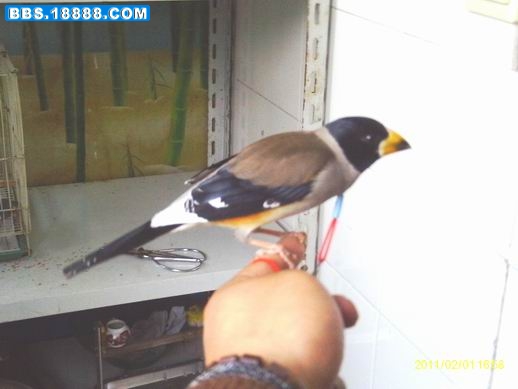 IMAG0199.JPG