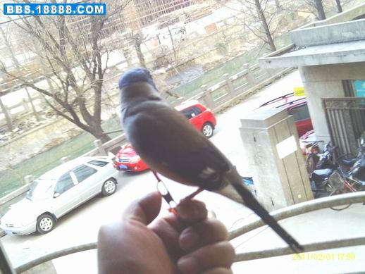 IMAG0206.JPG