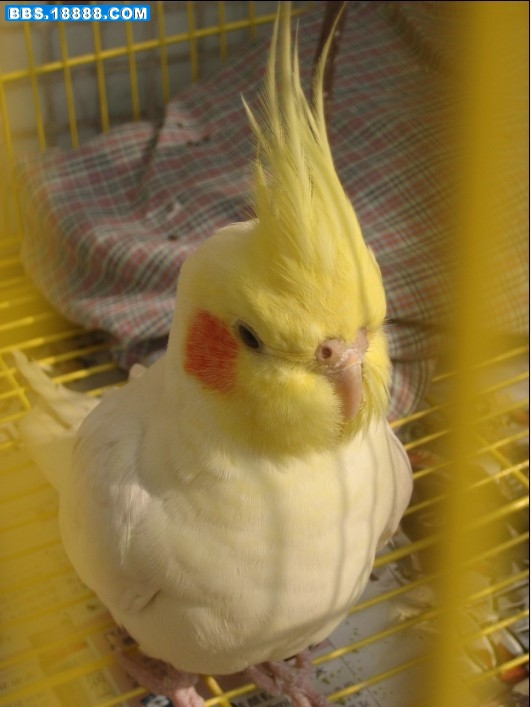 19.jpg