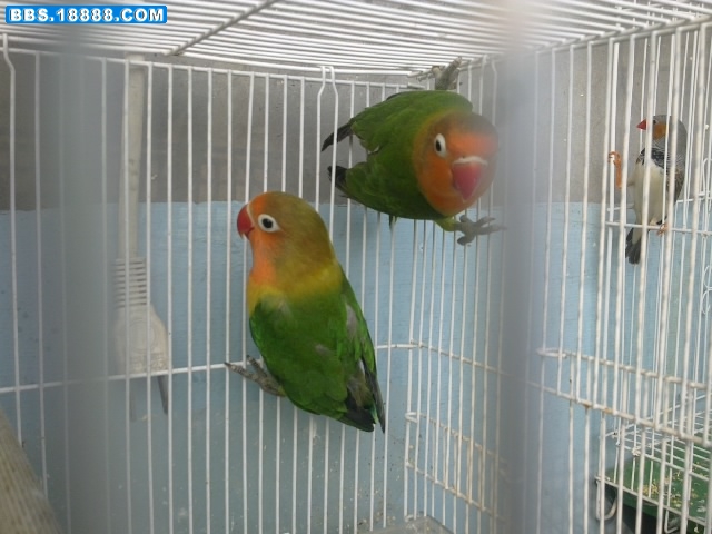 20110224528.jpg