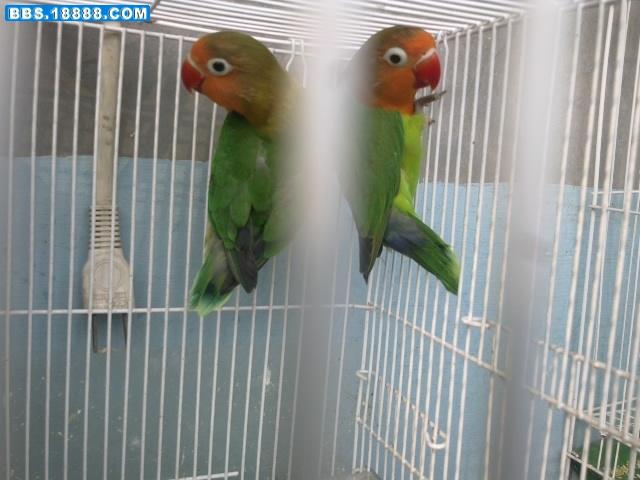 20110224530.jpg
