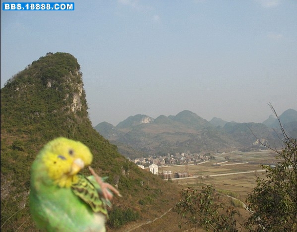 风景.jpg