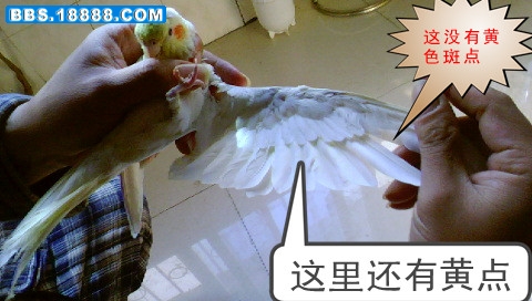 DSC00079_副本.jpg