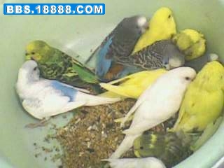 IMG3544A.jpg