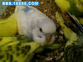 IMG3573A.jpg