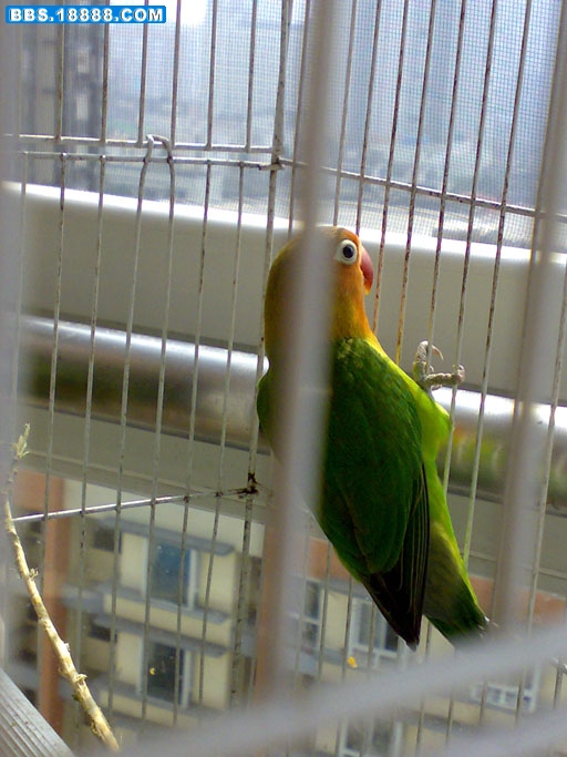 20110223147.jpg