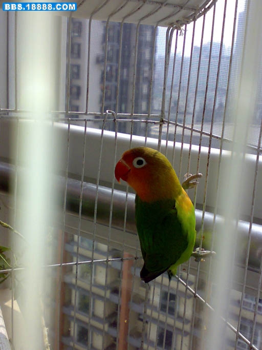 20110223145.jpg