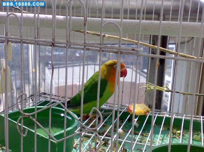 20110223142.jpg
