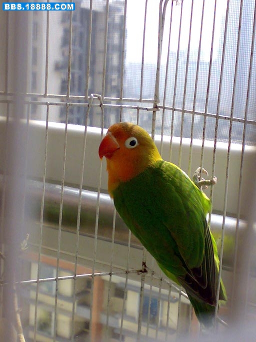 20110223146.jpg