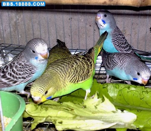 20110225695.jpg