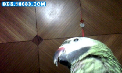 20110214_2212_0.jpg