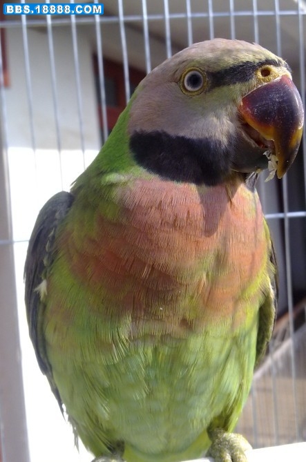 20110209666.jpg
