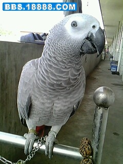 IMG0026A.jpg