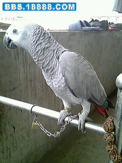 IMG0025A.jpg